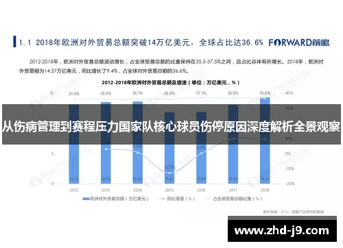 从伤病管理到赛程压力国家队核心球员伤停原因深度解析全景观察 从伤病管理到赛程压力国家队核心球员伤停原因深度解析全景观察
